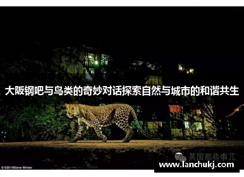 大阪钢吧与鸟类的奇妙对话探索自然与城市的和谐共生